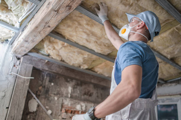 Best Residential Insulation Services  in Northfield, MN