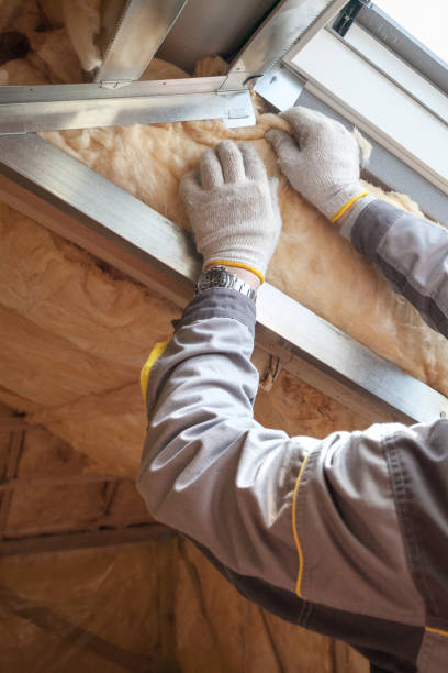 Insulation Repair Services in Northfield, MN