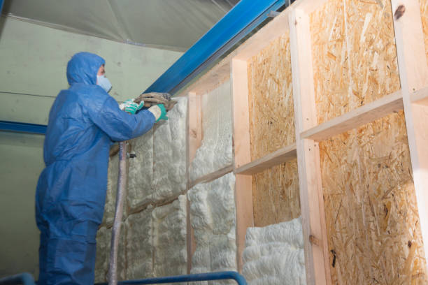 Best Blown-in Insulation  in Northfield, MN